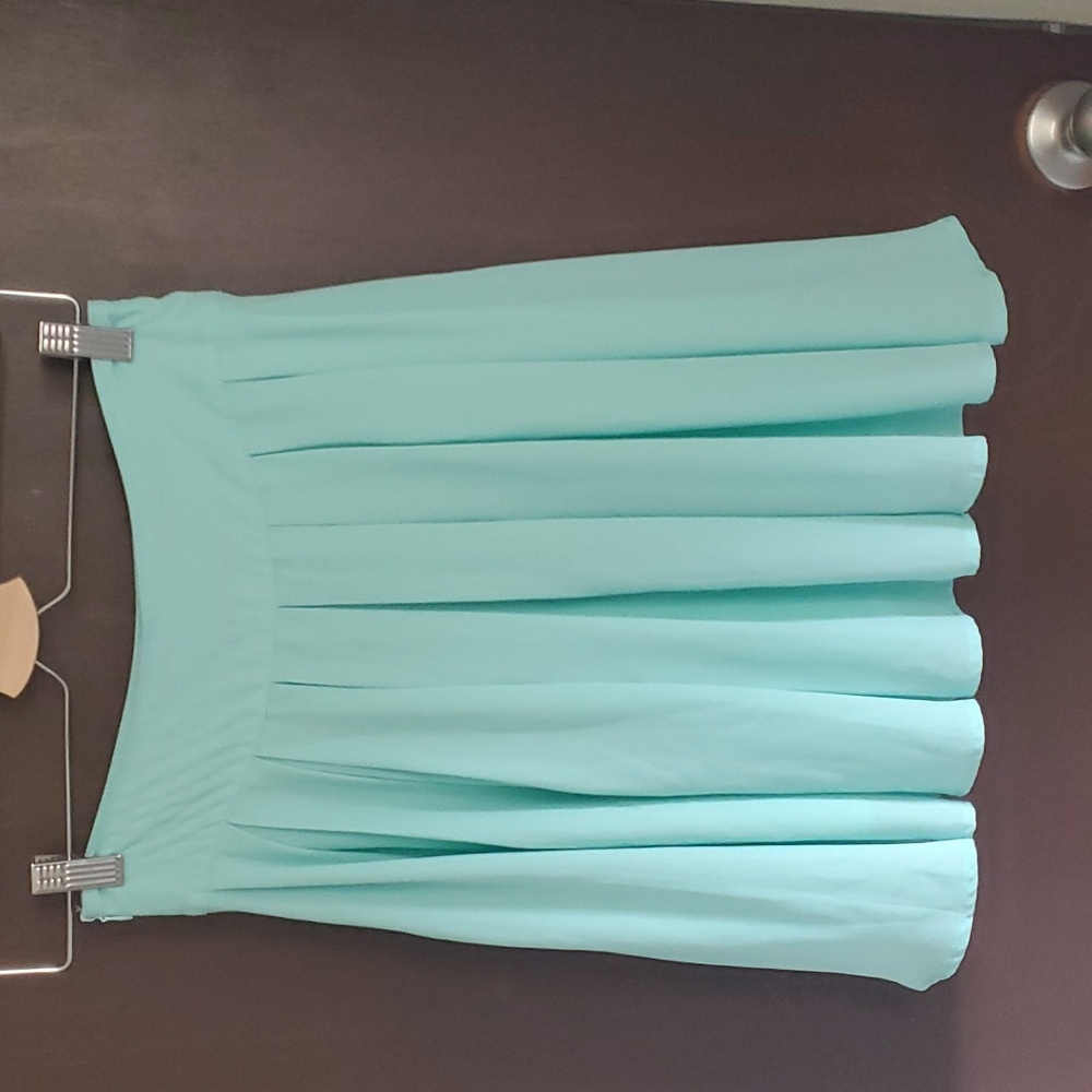 Francesca's mint green, pleated skirt.  Size Medium, with tags on.